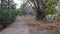 Beautiful Autumn Park in sunset sunlight. Forest pathway covered with trees multi-colour fall foliage fallen leaves in spring time