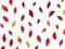 Beautiful autumn pattern with small red leaves