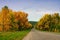 Beautiful autumn road. Picturesque trees