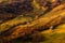 A beautiful autumn rural landscape with lonely houses, sunny hills and small horse. Carpathian rolling landscape on sunset in autu