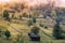 Beautiful autumn rural landscape with old houses, trees, fences and fog