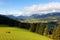 Beautiful autumn scenery of an alpine ranch with the cattle grazing on grassy pasture, village Ellmau