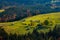 Beautiful autumn scenery. Fabulous autumn view of the mountain valley. Gorgeous morning scene of mountain village, Carpathians,