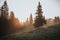 Beautiful autumn scenic panorama of foggy Carpathian mountains at early morning. Spruce forest, covered with fog on mountain