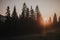 Beautiful autumn scenic panorama of foggy Carpathian mountains at early morning. Spruce forest, covered with fog on mountain