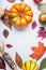 Beautiful autumn seasonal background with pumpkins , various fall leaves, and corn on white table background, top view