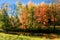 Beautiful autumn sunny landscape in Pavlovsk park with the park pond, trees with red ,orange and green leaves, Pavlovsk, St.