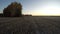 Beautiful autumn sunrise over harvested fields with aspen grove, time lapse