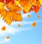 Beautiful autumn tree leaves background border