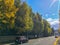 Beautiful of autumn trees along the road at the edge of Kyoto town with blue sky