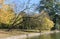 Beautiful autumn trees with a lake