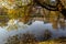 Beautiful autumn trees near the pond with ducks