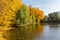 Beautiful autumn trees near the pond with ducks