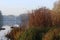 Beautiful autumn trees stand by the lake