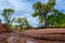 Beautiful Autumn Trees Utah Canyonlands Fall Landscape