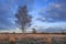 Beautiful autumn twilight scenery at a tranquil moorland, Goirle, Netherlands