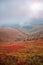 Beautiful autumn in Ukraine. Mountain hills covered red carpet leaves