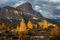 Beautiful autumn view Tofana di Rozes mountain with yellow larch trees on foreground. Dolomite Alps near Falzarego Pass.