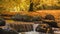 Beautiful autumn view of the waterfall with pleasant warm sunny light. Picture taken in Bad Muskau park, Saxony, Germany. UNESCO