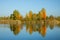 Beautiful autumn waterfront landscape trees reflecting on the smooth water surface.