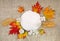 Beautiful autumnal maple leaves, golden leaves palm tree, cotton flowers, dry white flowers orchid, blank sheet