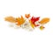 Beautiful autumnal maple leaves, golden leaves palm tree, cotton flowers, dry white flowers orchid on white background