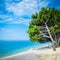 Beautiful azure blue Mediterranean beach surrounded by trees