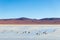 Beautiful background with Altiplanic Lagoon, a shallow saline lake and blue sky