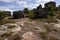 Beautiful background of an ancient Mayan ruin with the castle of Tulum in a pre-Columbian city and culture that settled its cities