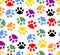 Beautiful background with colored prints of cat paws. Colorful cat footprints on white background.