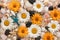 Beautiful background of daisies, seashells, starfishes and black stones on the sand