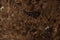 A beautiful background of dark brown marble called Emperador dark