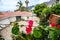 Beautiful background with flowers, hotel in the background. Selective focus. Los Gigantes, Tenerife