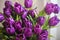 Beautiful background of fresh tulips, symbol of warmth and spring