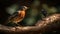 Beautiful background image of a wild robin (Erithacus rubecula) with stunning colors, generative ai