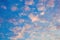 Beautiful background of light clouds on the sky in the sunlight of dawn. White-pink clouds on a blue-blue sky