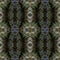 Beautiful background pattern made from wizard butterfly wings skin texture