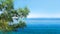 Beautiful background  seascape of horizon line, calm charming blue sea and peaceful bay with green plants pine tree.