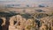 Beautiful background shot, camera focus goes from epic sunny Grand Canyon mountains view to little pine tree and back.