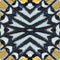 Beautiful Background Texture made from Great Zebra Butterfly wings into best pattern in design