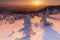 Beautiful background with winter trees covered with fresh snow in the mountains with colorful sky at sunrise