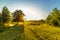 Beautiful backlight spring landscape picture with warm colours of sunrise