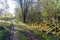 Beautiful backlit dirt road in the morning sunshine by spring season