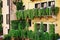 Beautiful balconies of old house decorated with flowers in pots, Verona, Italy. Verona is a popular tourist destination of Europe.