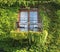 Beautiful balcony with green ivy