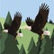 beautiful bald eagles flying in the landscape