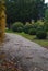 Beautiful ball-shaped green coniferous bushes in the autumn park.