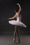 Beautiful ballerina dancing gracefully rearview