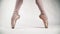 Beautiful ballet feet pointe shoes stand in a pose from the ballet. Ballerina on a white background. Classical dance.