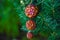 Beautiful balls decoration toy on the artificial Christmas tree